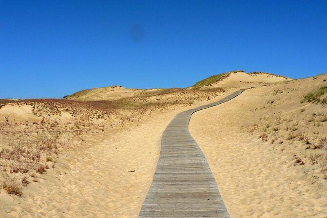Best of Klaipeda & Curonian Spit Join-in Shore Excursion - Key highlights you will feel right away