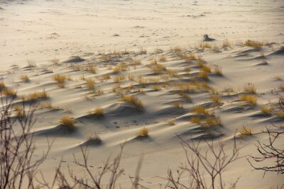 Best of Klaipeda & Curonian Spit Join-in Shore Excursion