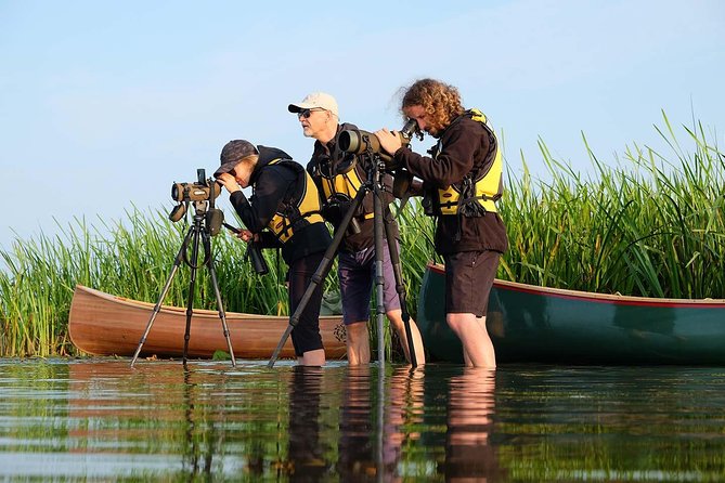 BIRDWATCH - Premium guided canoe tour at Cape Vente, Nemunas Delta Regional Park - Key points before you go