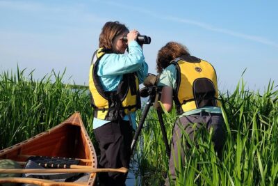 BIRDWATCH – Premium guided canoe tour at Cape Vente, Nemunas Delta Regional Park