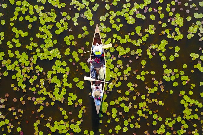 BIRDWATCH - Premium guided canoe tour at Cape Vente, Nemunas Delta Regional Park - Photos from the paddle and drone shots: getting memories without stress