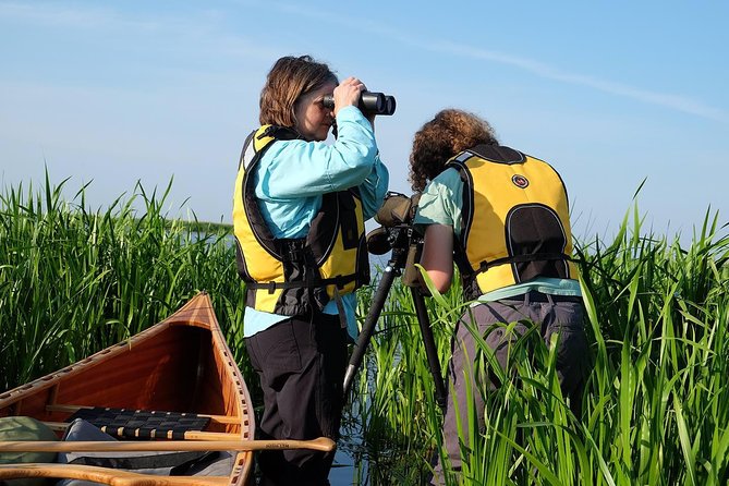 BIRDWATCH - Premium guided canoe tour at Cape Vente, Nemunas Delta Regional Park - The 7:00am start and transfers: less hassle, more daylight