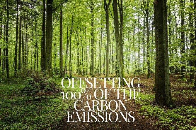 CO2-Offset Departure from Vilnius City to Vilnius VNO airport - Carbon emission offset on a short airport trip: how to think about it