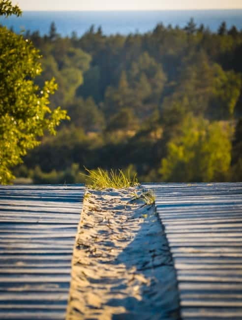 Day group tour: Curonian Spit (Neringa) from Klaipeda (EN) - Dead Dunes and why this stop feels extra special