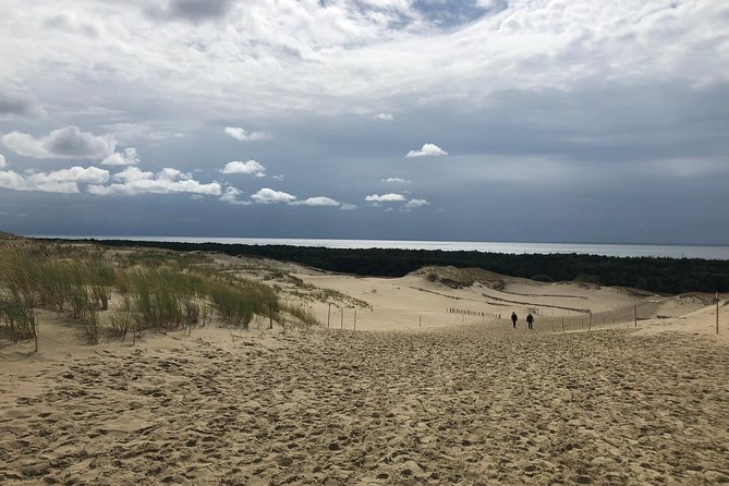 Day trip from Vilnius to Curonian Spit National Park - Littoral Forest and Centuries-Old Trees: A Shady Pace Break