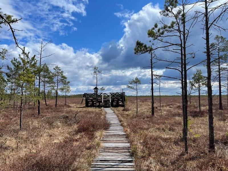 Dzukija National Park and Grutas Park: Full-Day Tour - Liskiava Monastery Ensemble and Druskininkai Finish