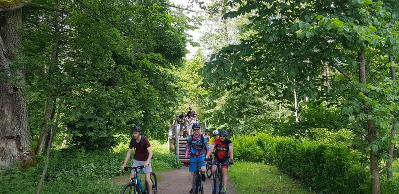 Explore Pavilniai Regional Park on a Mountain Bike - Booking style tips for a smoother ride