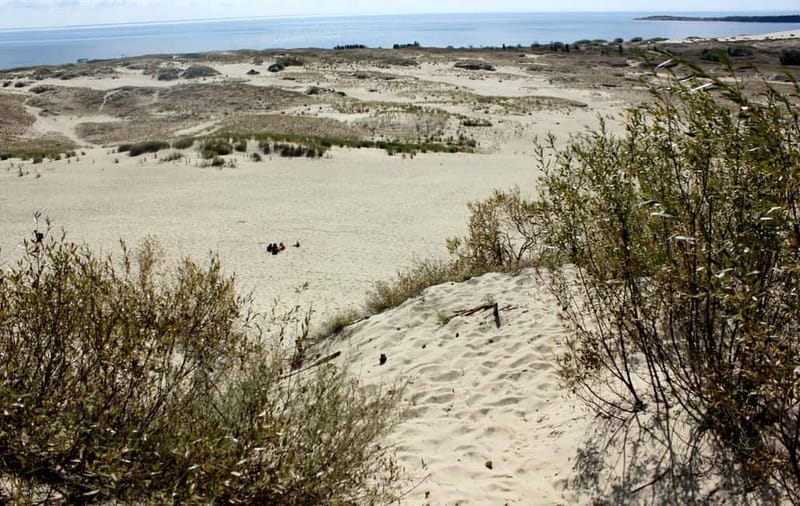 From Vilnius: Day Trip to Curonian Spit National Park - The moving dunes and pine forests: what UNESCO means on the ground