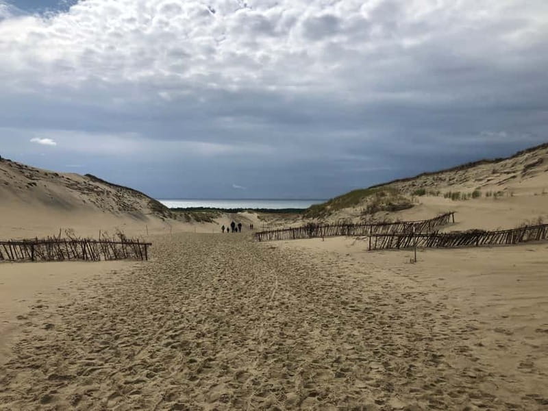 From Vilnius: Day Trip to Curonian Spit National Park - Nida village, white beaches, and the smell of smoked fish