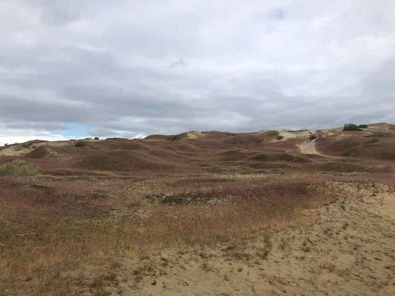 From Vilnius: Day Trip to Curonian Spit National Park - What to pack and how to enjoy the dunes and beaches without suffering