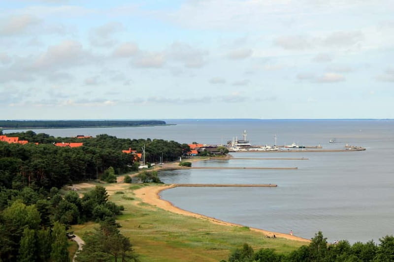From Vilnius: Day Trip to Curonian Spit National Park - Cormorant colony and the Hill of Witches: folklore with real atmosphere