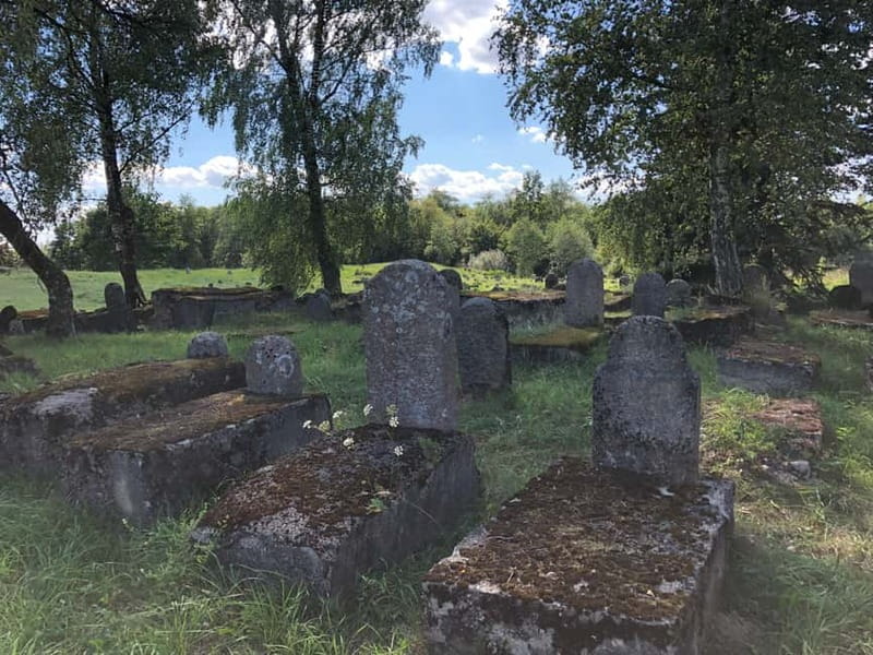 From Vilnius: Guided Jewish Heritage Day Trip to Kaunas - Cemeteries in Kaunas: memory after destruction, and living burial grounds