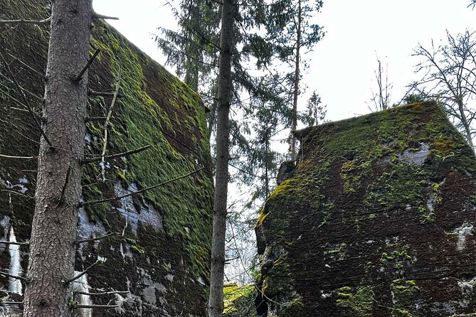 From Vilnius: Private Day Tour to Wolfs Liar (Hitler's bunker) - Price and logistics: what $836.68 per group really buys