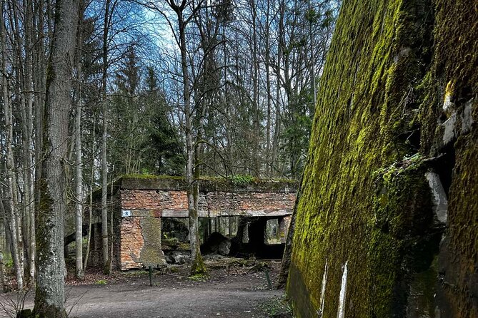 From Vilnius: Private Day Tour to Wolfs Liar (Hitler's bunker) - Stop at Wilczy Szaniec: your 2 to 3 hour guided core
