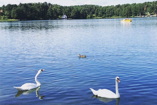 From Vilnius: Private Tour to Trakai - Tips to get the most out of your 4-hour day