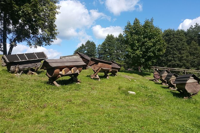Full-Day Tour to Aukstaitija National Park from Vilnius - Moletai Astronomical Observatory and the Ethno-Cosmology Museum