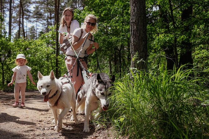 Husky Trekking in Natural Park near Vilnius - Why Husky Trekking Near Vilnius Feels Special