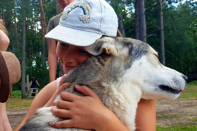 Husky Trekking in Natural Park near Vilnius - Instruction in Real Life, Not Theory