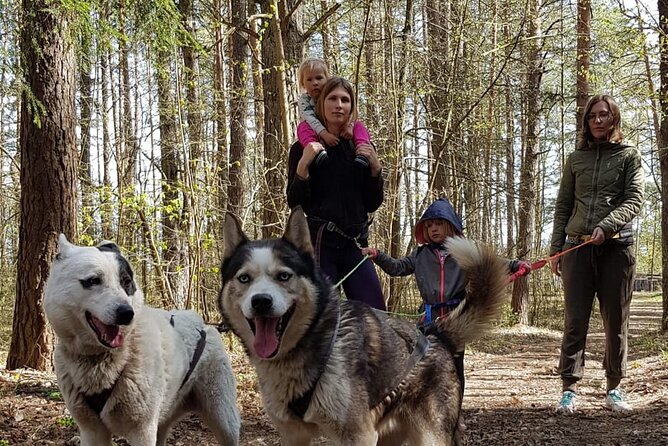 Husky Trekking in Natural Park near Vilnius - Getting There From Vilnius (Meeting Point and Transport Reality)