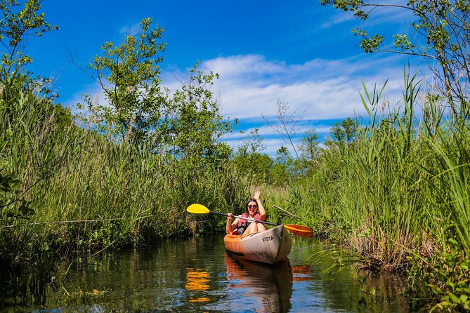 Kayaking down Sventoji River (mini) - English Guidance and Mobile Tickets: Make Planning Easier
