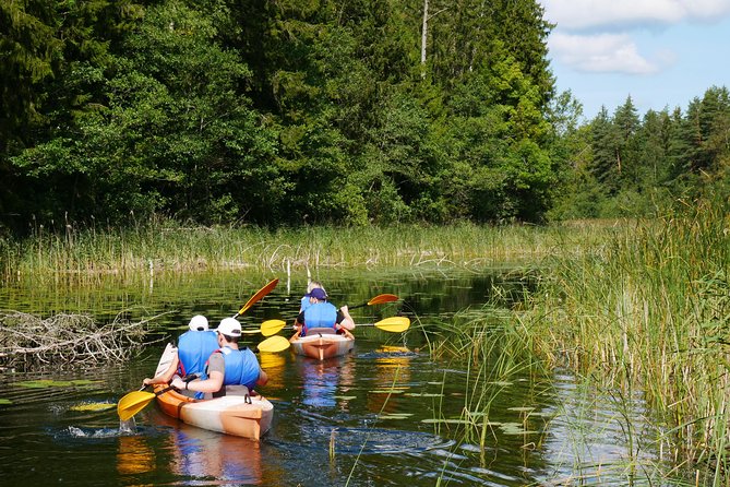 Kayaking down Sventoji River (mini) - The Core Experience: Guided Kayaking on the Sventoji River Mini