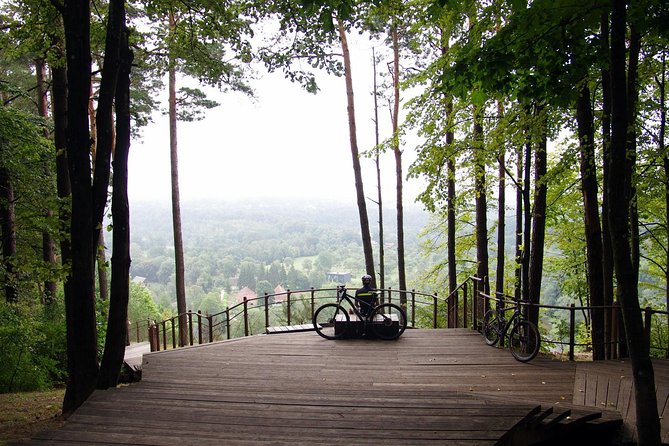 Mountain Bike Tour to Pavilniai Regional Park - Pavilniai Regional Park, wooden architecture and that famous serpentine