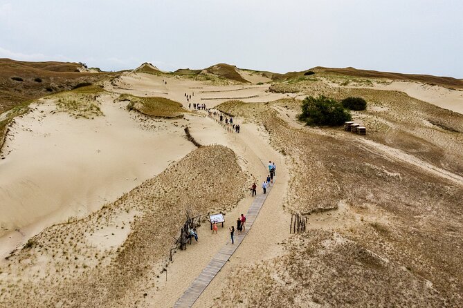 Private Tour: Curonian spit (Neringa) from Klaipeda - The Dead Dunes: largest moving dunes and that gray-sand effect
