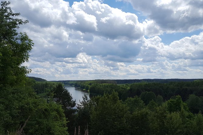 South Lithuania Day Trip: Dzukija County and Grutas Park from Vilnius - Pirčiupiai and the Mother of Pirčiupiai: small stop, big mood