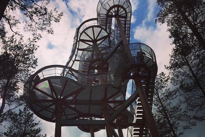 South Lithuania Day Trip: Dzukija County and Grutas Park from Vilnius - Dzūkija National Park: Eye of Ūla, hill forts, and real forest time
