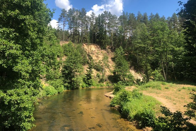South Lithuania Day Trip: Dzukija County and Grutas Park from Vilnius - Zervynos Ethnographic Village: rural traditions you can actually picture