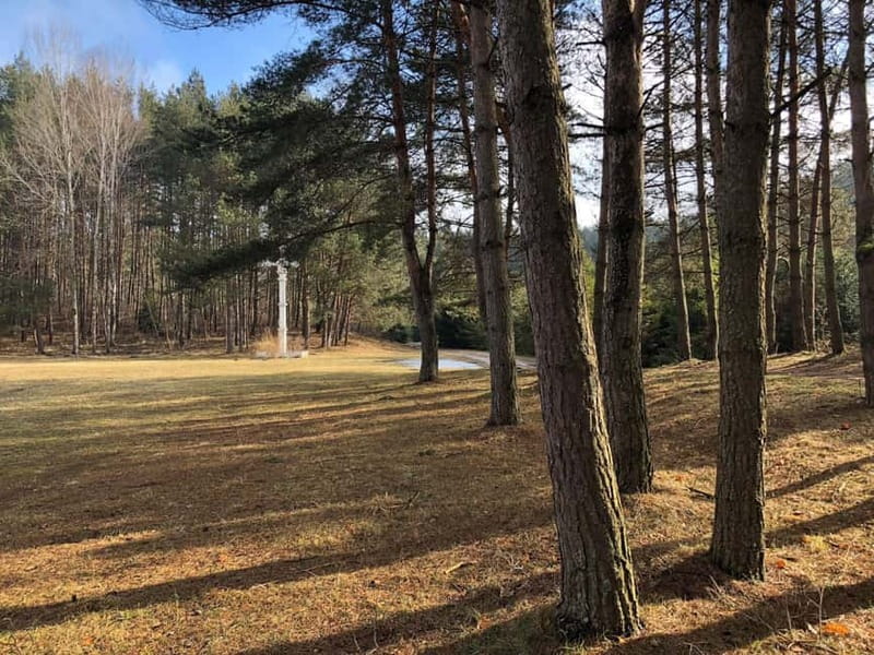 The Hill of Crosses: Full-Day Tour from Vilnius - How the day’s stories shape what you see at the Hill