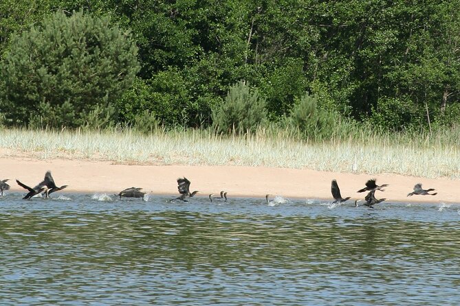 Untouched Sand Dunes - Guided canoe tour on UNESCO site - What to Expect Day-of: Small Details That Matter