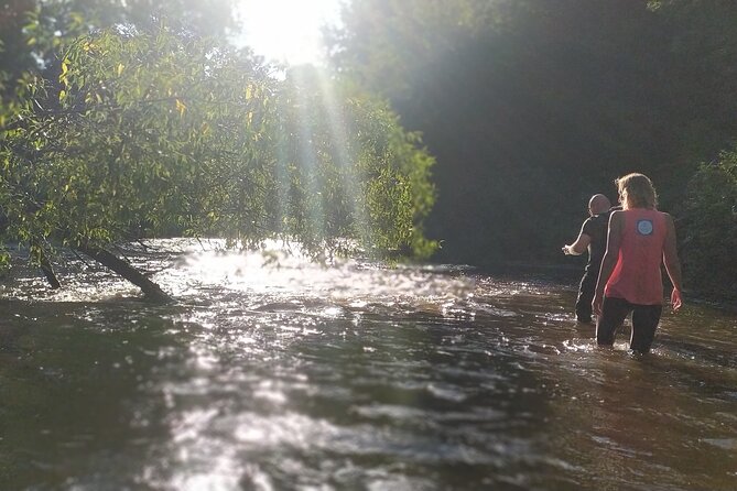 Vilnele River Walking Tour and Uzupis Experience - Bridge of Uzupis: Swing of Destiny, Mermaid Stops, and Six Points of View