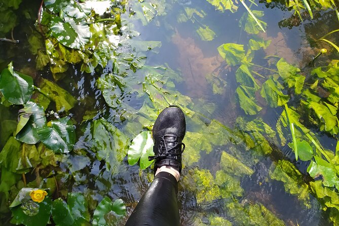 Vilnele River Walking Tour and Uzupis Experience - Paupio Tiltas Start: Waders, Wet Shoes, and a Real Outdoors Pace