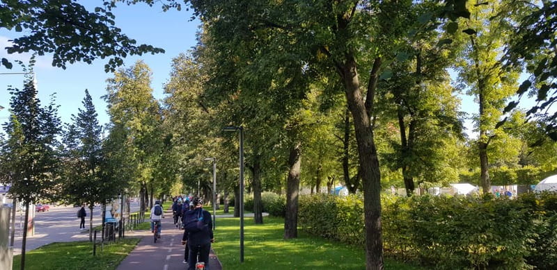 Vilnius: 1-Day Bike Rental - Who This Bike Rental Suits Best