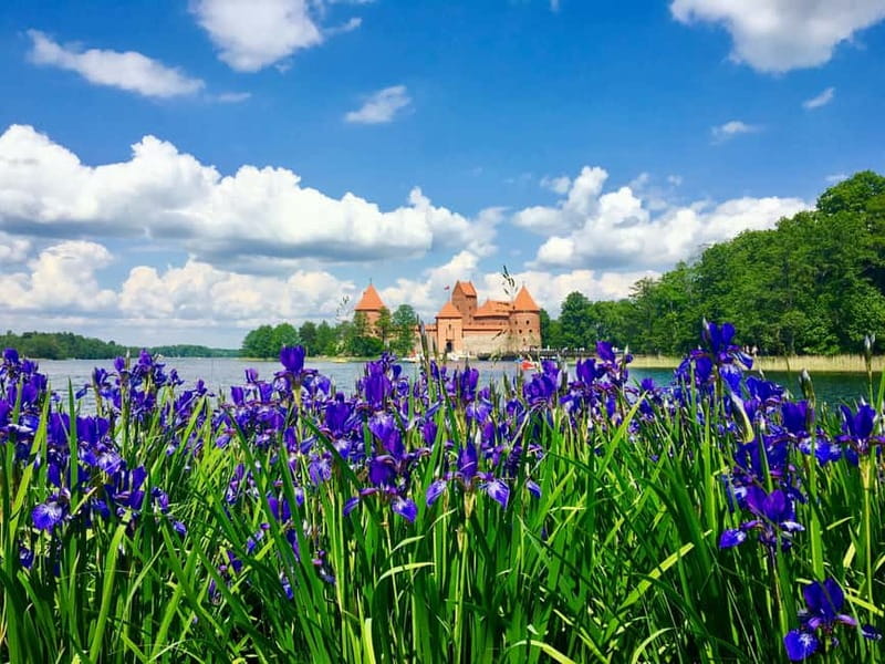 Vilnius: Half-Day Sightseeing Tour to Trakai - Karaites and the Many Communities of Trakai