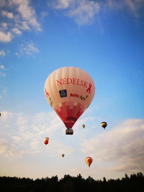 Vilnius or Trakai: Hot Air Balloon Flight - Trakai from above, slow passes over castle and Lake Galvė