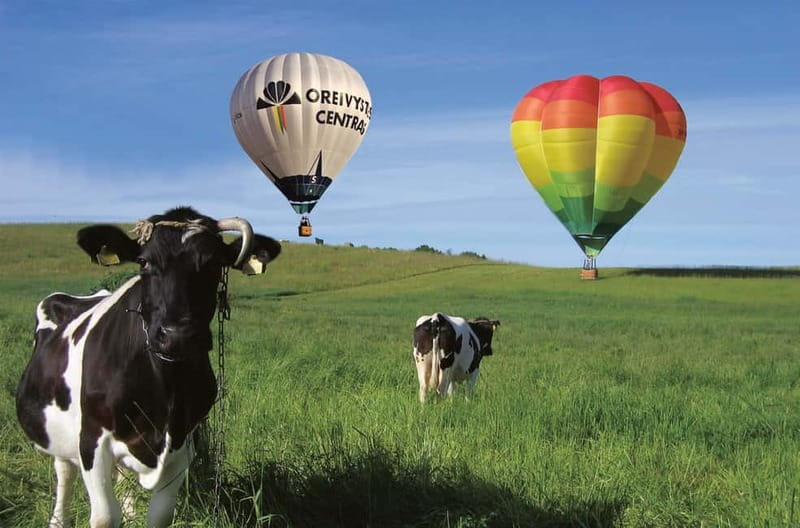 Vilnius or Trakai: Hot Air Balloon Flight - How the flight day unfolds, from briefing to certificate