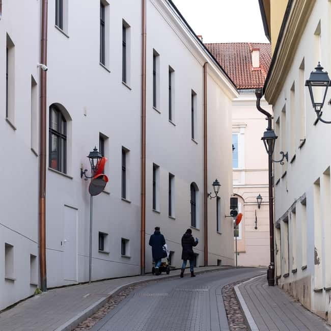 Vilnius: Private Half-Day City Tour by Minivan - Vilnius Town Hall, the Gate of Dawn, and Artillery Bastion