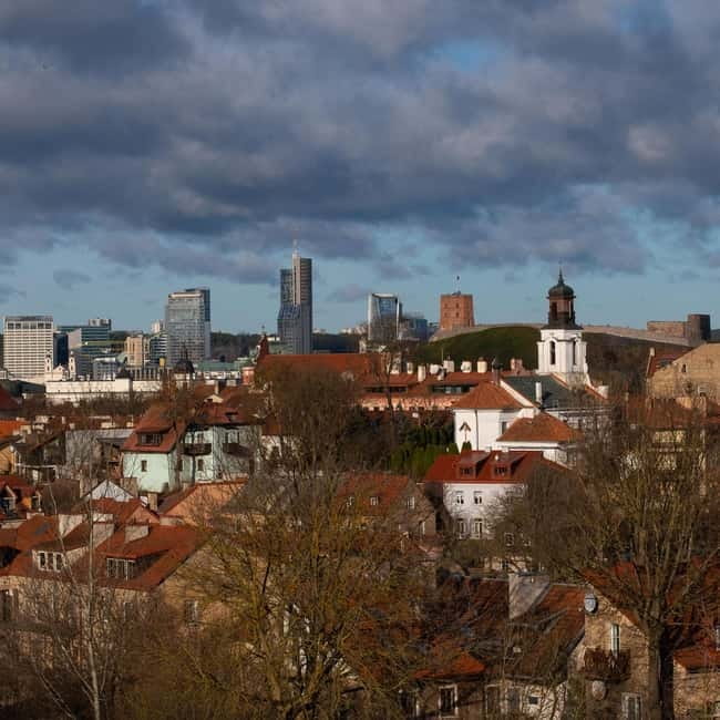 Vilnius: Private Half-Day City Tour by Minivan - Across the Neris River: Zaliasis Bridge, Konstitucijos Avenue, and memory