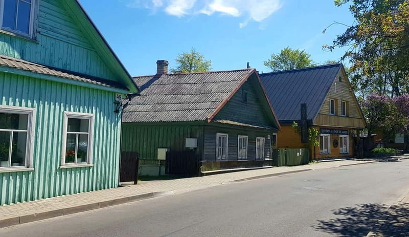Vilnius: Trakai Castle Half-Day Tour by minivan - Guided Trakai Town Time, Then Your Hour to Wander
