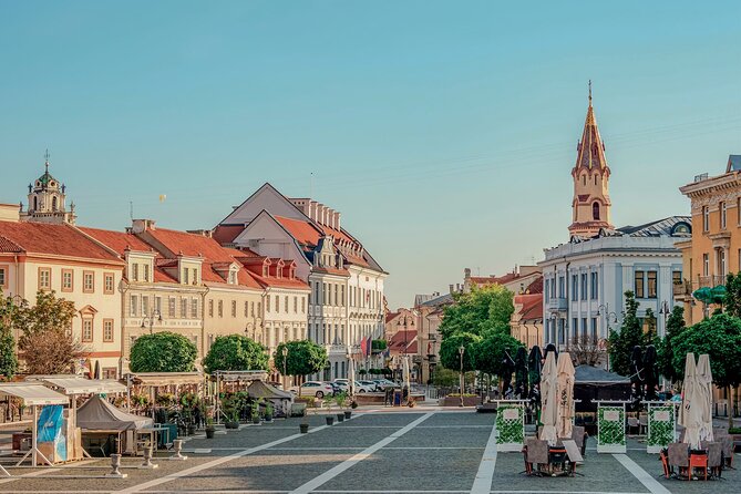 Vilnius: VNO Airport to City Centre|Hotels Private Transfer - The Timing: Driver Contact, Meeting Point, and the 60-Minute Pickup Window